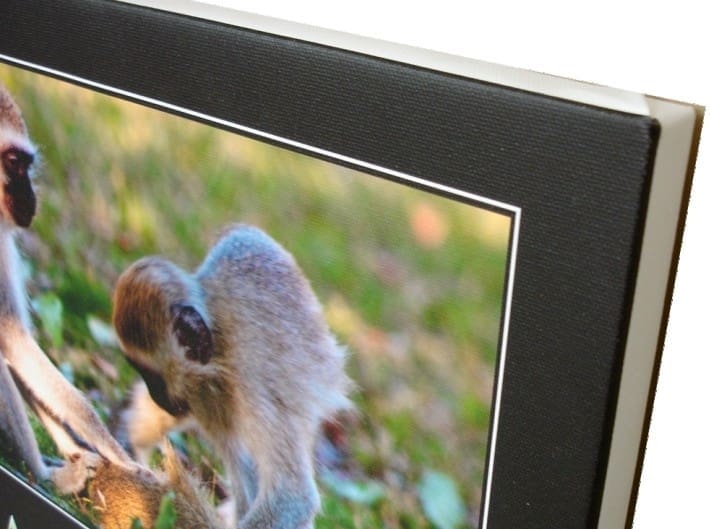 Custom Mounted Canvas Prints - Image 2