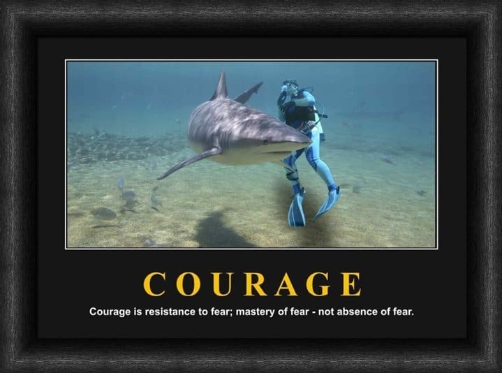 Variation picture for Courage Variation picture for Courage