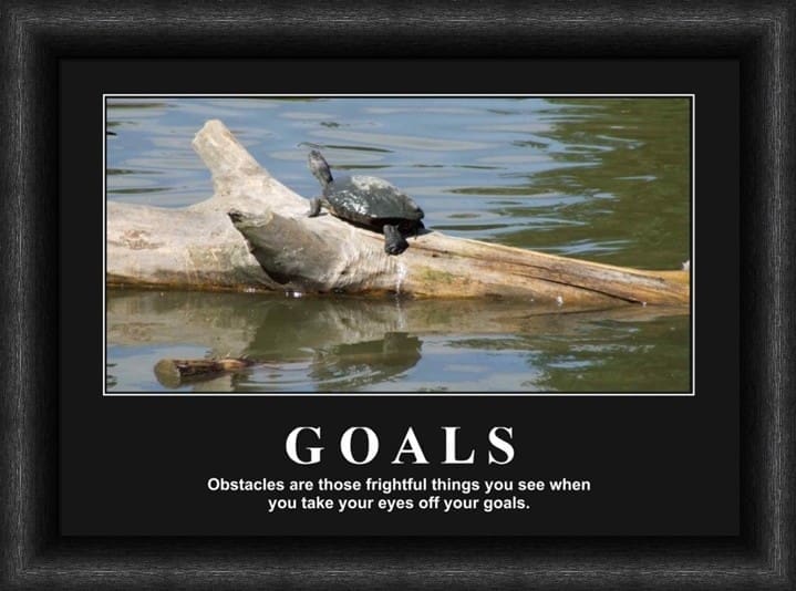 Variation picture for Goals Variation picture for Goals
