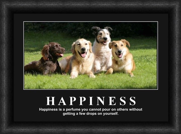 Variation picture for Happiness Variation picture for Happiness