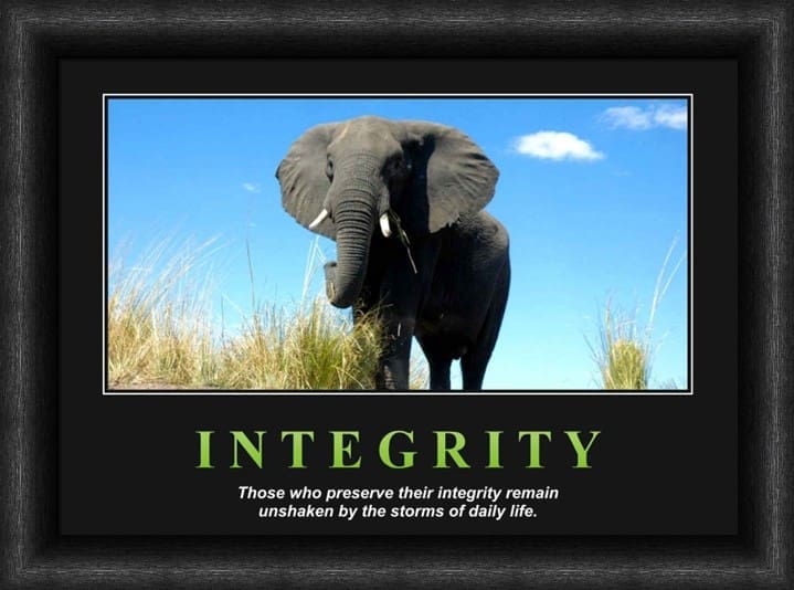 Variation picture for Integrity Variation picture for Integrity