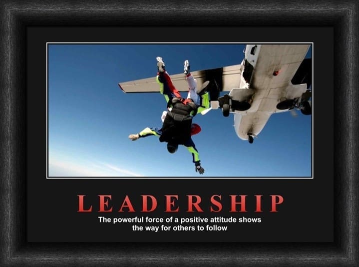 Variation picture for Leadership - Skydive Variation picture for Leadership - Skydive