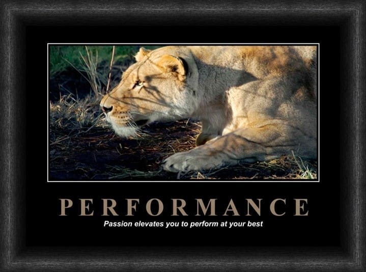 Variation picture for Performance Variation picture for Performance