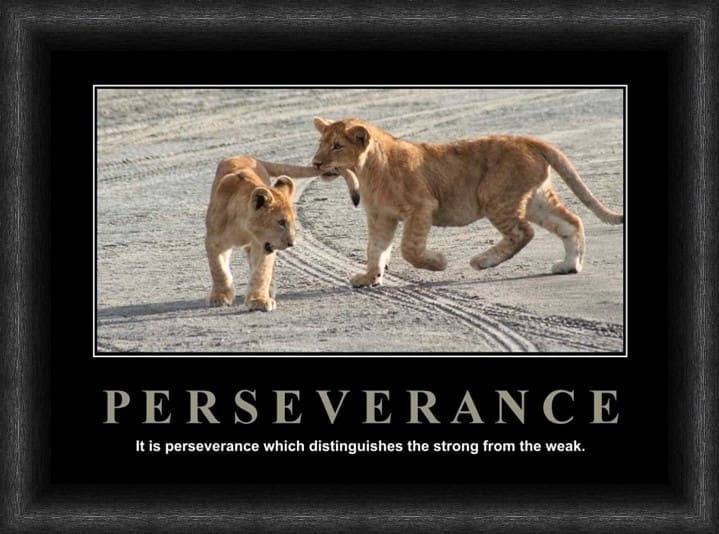 Variation picture for Perseverance Variation picture for Perseverance