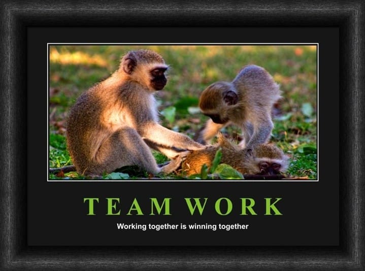 Variation picture for Team Work - Monkeys Variation picture for Team Work - Monkeys