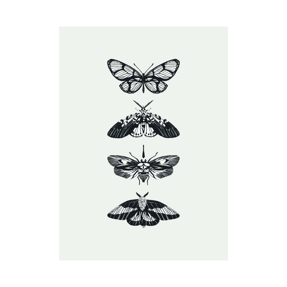 Variation picture for Left canvas Variation picture for Left canvas