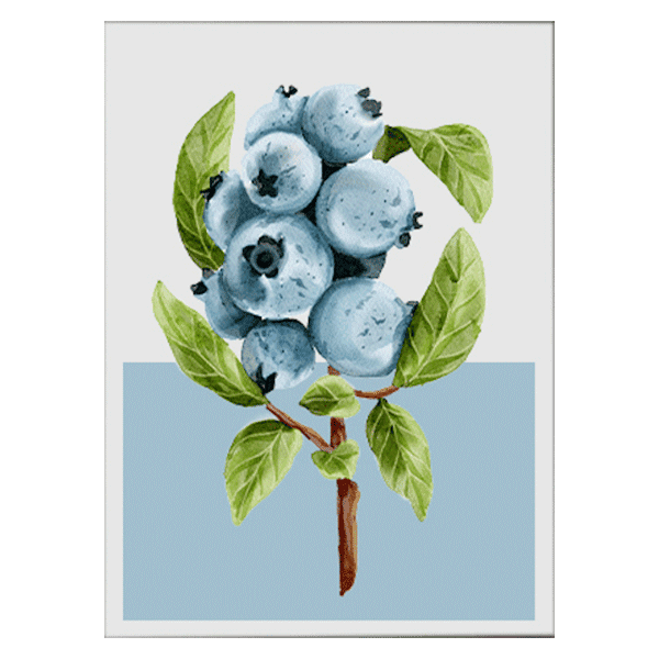 Blueberry Trio Canvas Print Set - Image 3