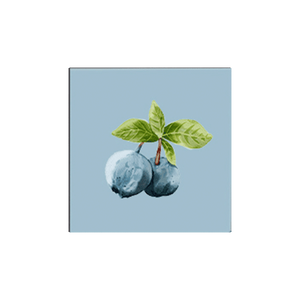 Blueberry Trio Canvas Print Set - Image 4
