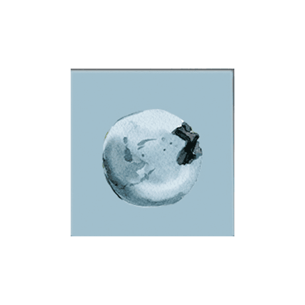 Blueberry Trio Canvas Print Set - Image 2